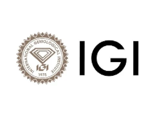 Advised Fosun on acquisition of IGI